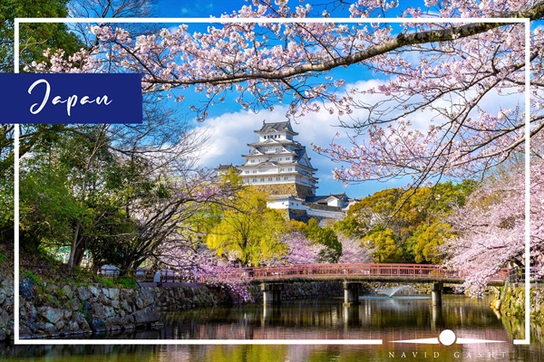 با خرید تور ژاپن به کشور سامورایی ها سفر کنید